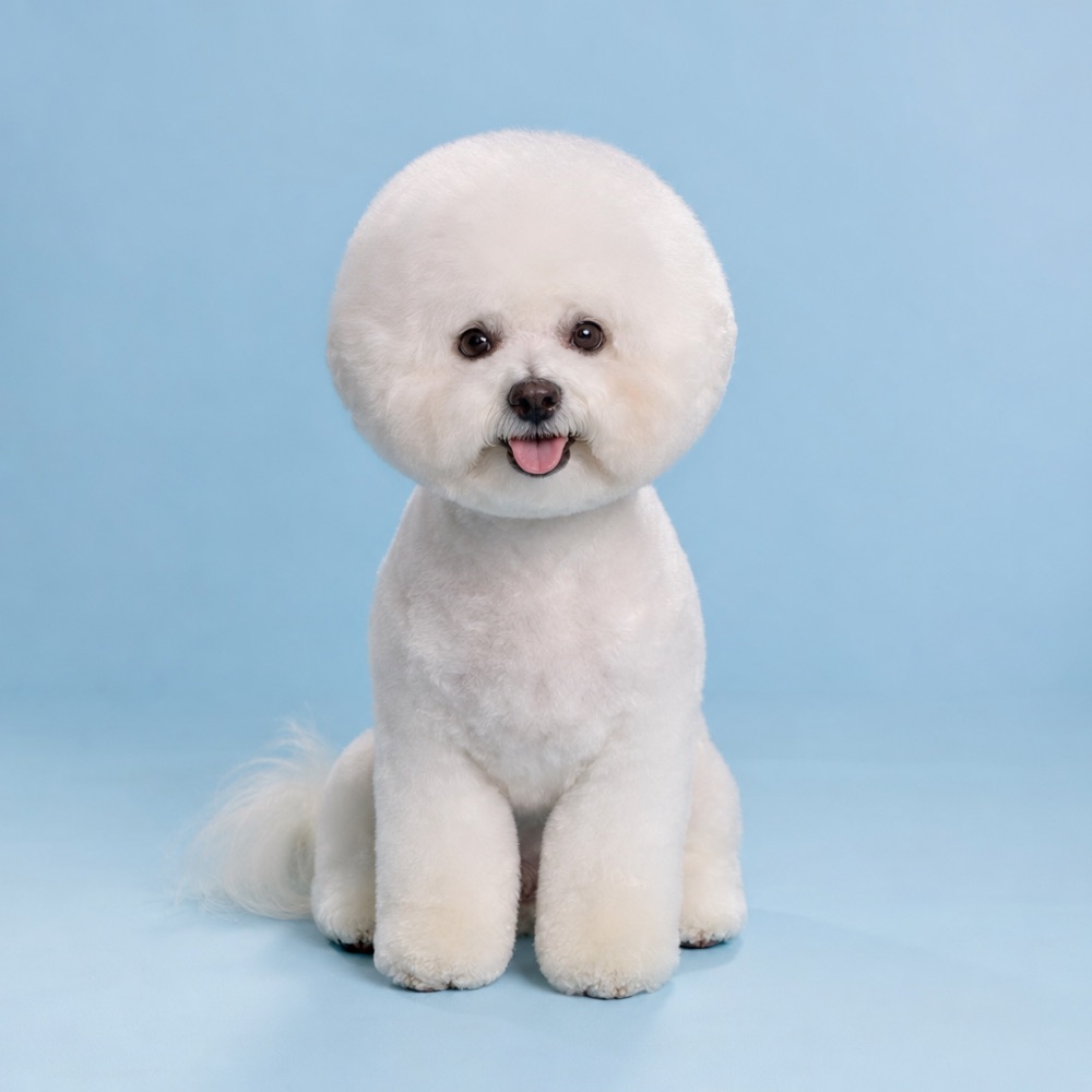 The Bali Dog Treatment